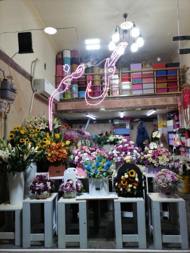 عکس گلفروشی صنم