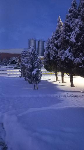 عکس شرکت صنایع پودر شیر مشهد