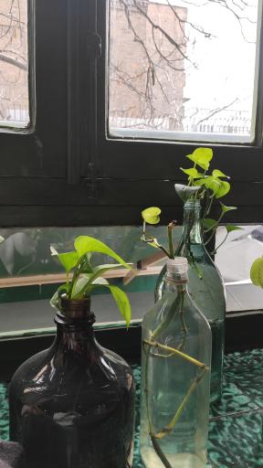 عکس کافه آندورا