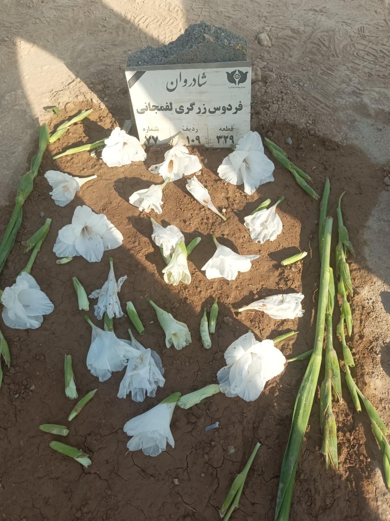 عکس مزار فردوس زرگری