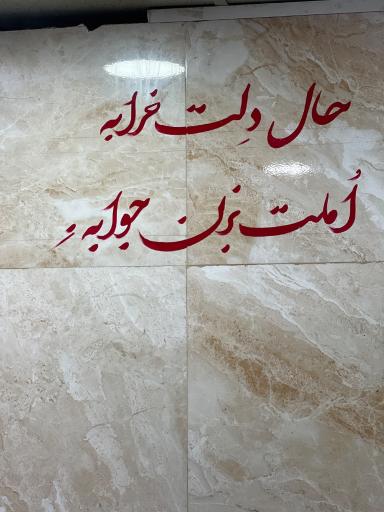 عکس ديزي سراي حامد 