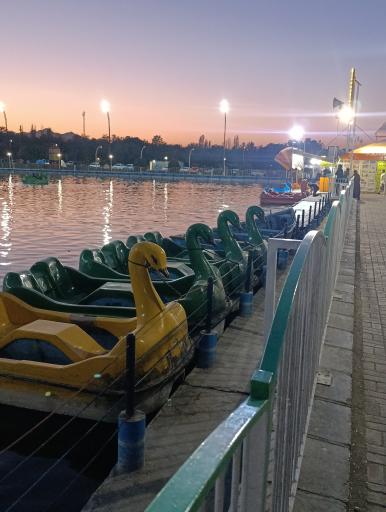 عکس بوستان جنگلی غدیر