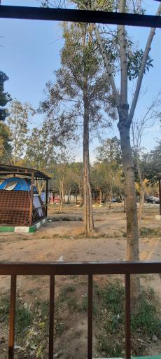 عکس بوستان جنگلی غدیر