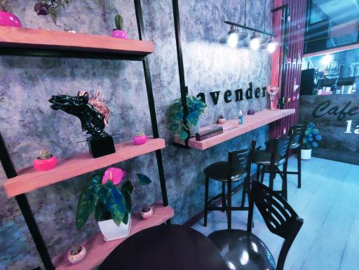 عکس کافه لاوندر