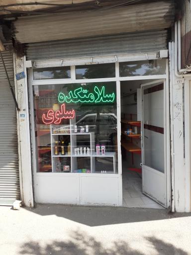 سلامتکده سلوی