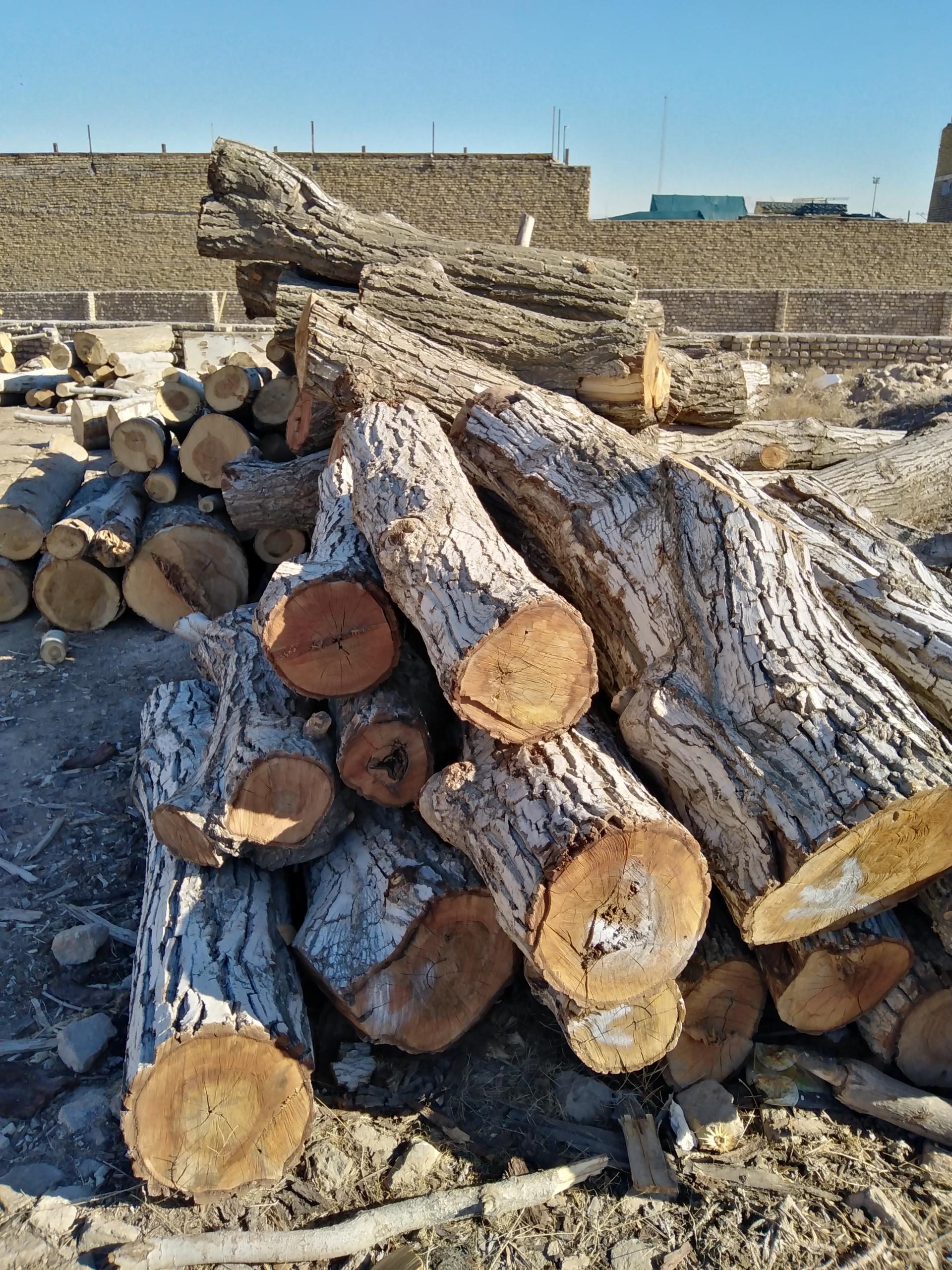 عکس چوب بری