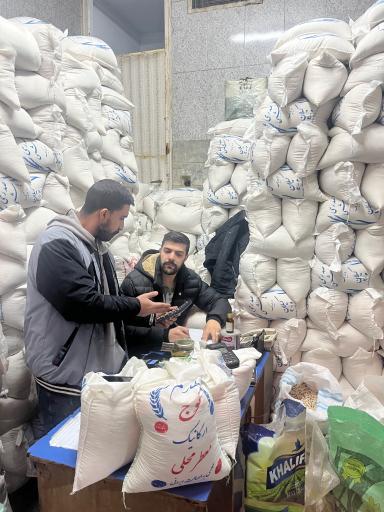 عکس برنج شمال