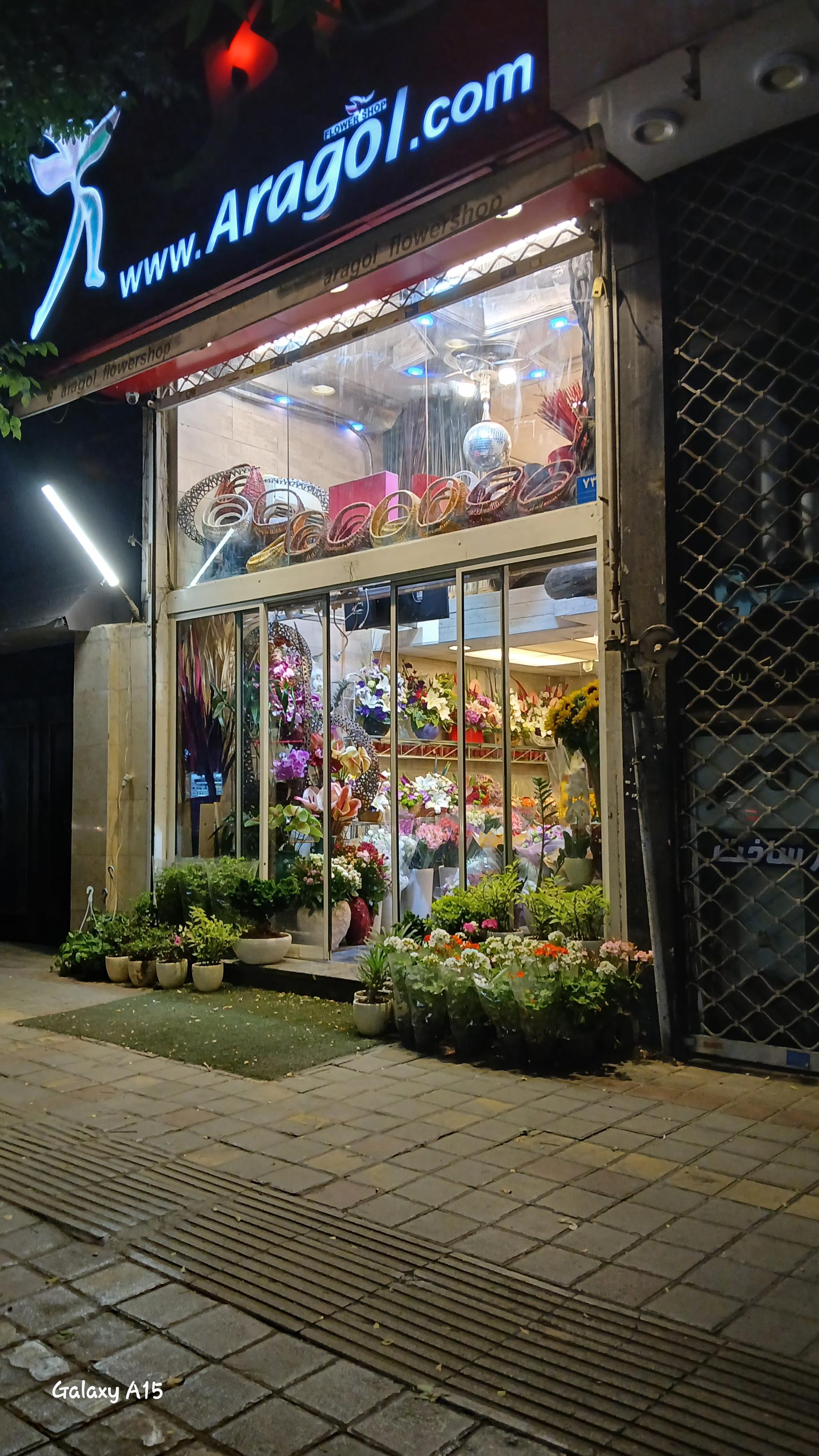 عکس گل فروشی آراگل