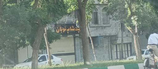 عکس پت شاپ نویان