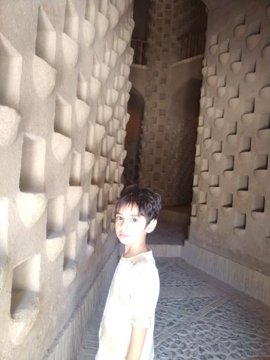 عکس برج کبوترخان