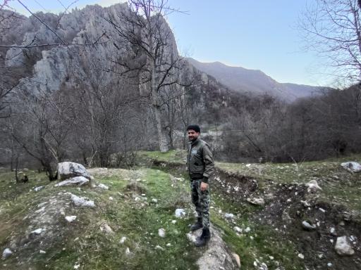 عکس جنگل توسکستان