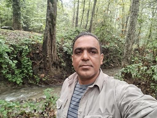 عکس جنگل توسکستان