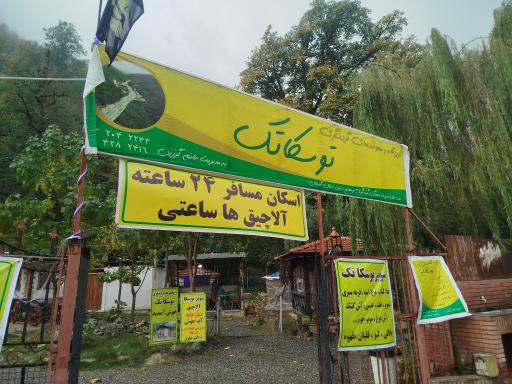 عکس جنگل توسکستان