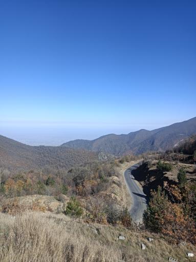 عکس جنگل توسکستان