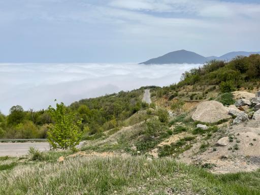 عکس جنگل توسکستان