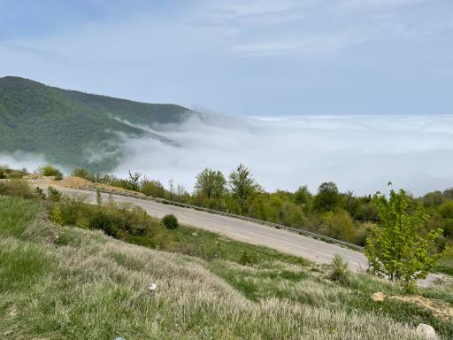 عکس جنگل توسکستان