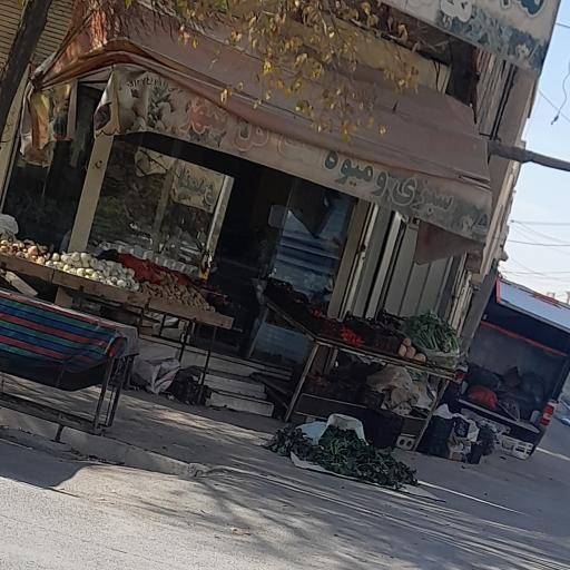 عکس میوه سرای المهدی