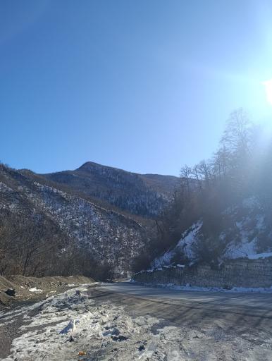 عکس جنگل توسکستان