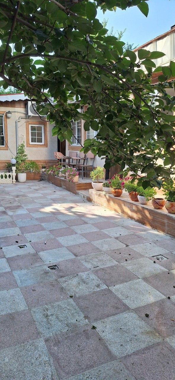 عکس آکادمی زبان کریم پور 