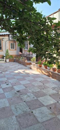 عکس آکادمی زبان کریم پور 