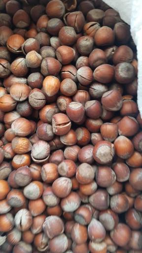 عکس خشکبار عارف