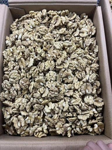 عکس خشکبار عارف