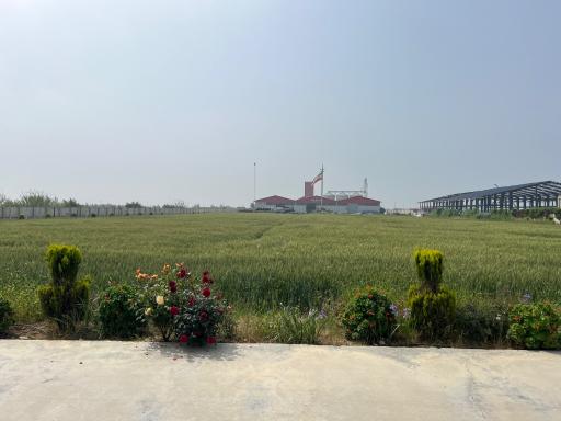 عکس کاسپین لوله طبرستان