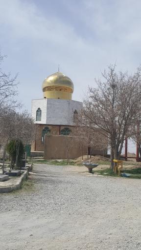 عکس میلاجرد