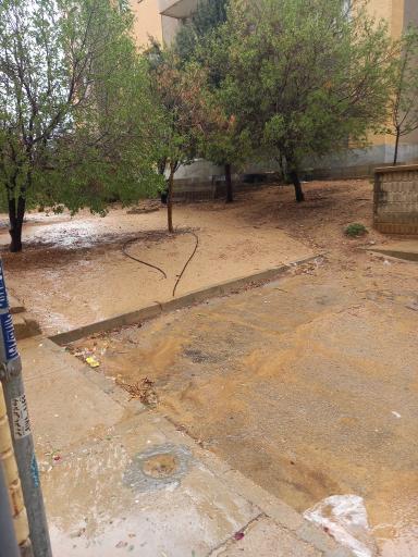 عکس سلحشوران دو