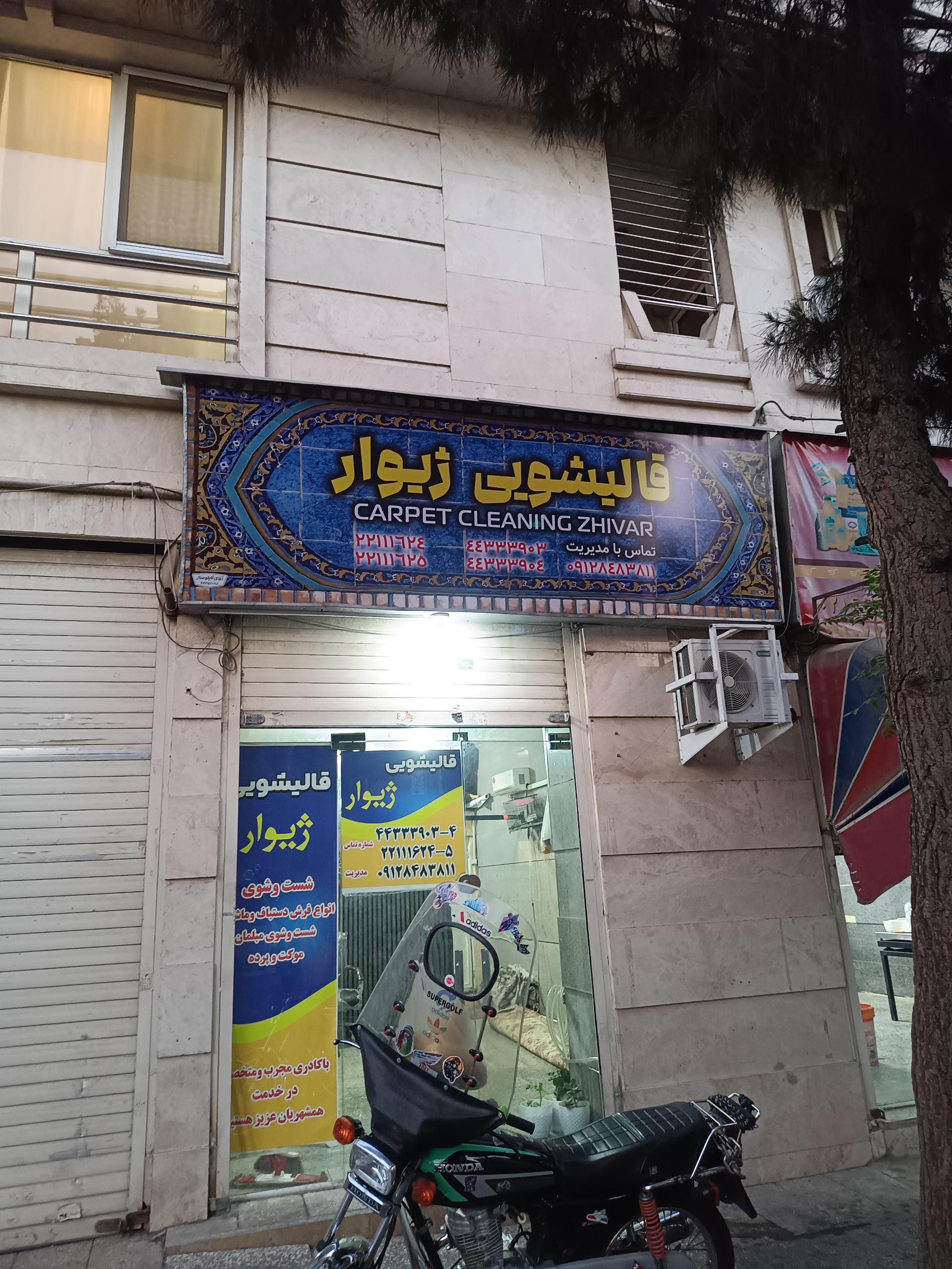عکس قالیشویی ژیوار