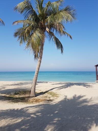 عکس ساحل میرمهنا