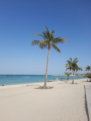 ساحل میرمهنا