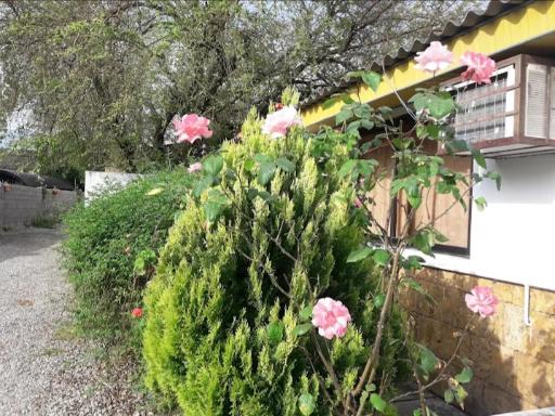 مجتمع ساحلی موج فاضلی 