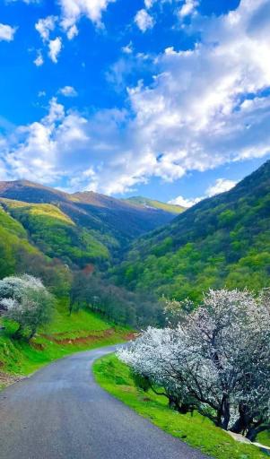 عکس منطقه حفاظت شده قره داغ