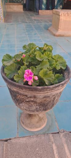 عکس مقبره خواجه نظام الملک و مقبره ملکشاه سلجوقی