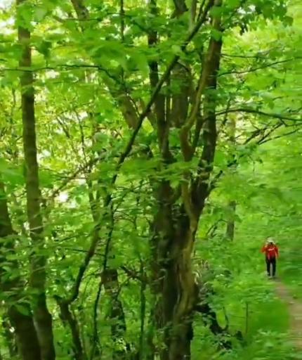 عکس منطقه حفاظت شده قره داغ