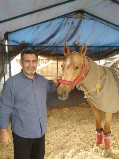 عکس مجموعه بزرگ اسبدوانی گنبد کاووس