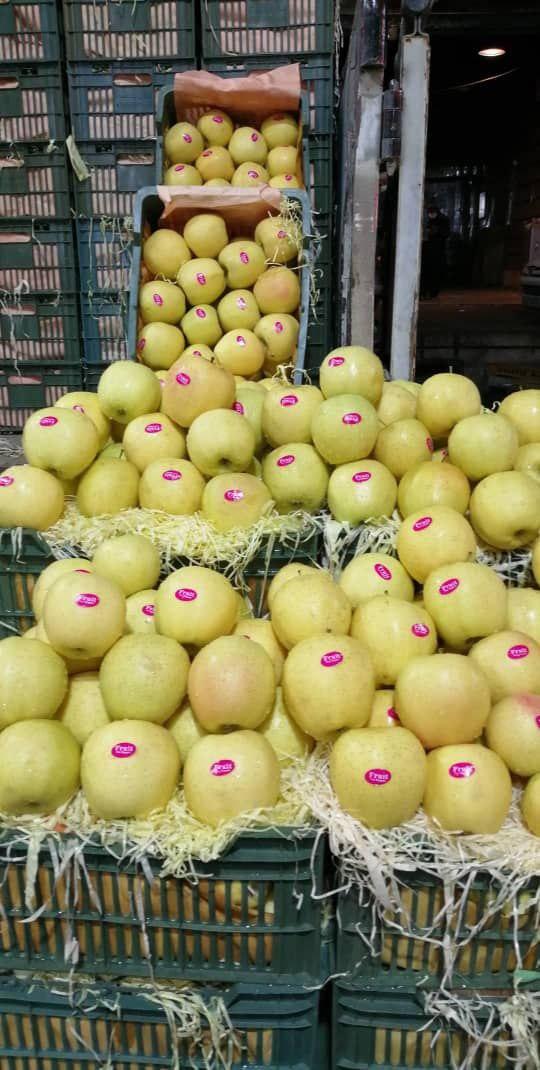 عکس میوه فروشی محمدرضا بستامی و پسران