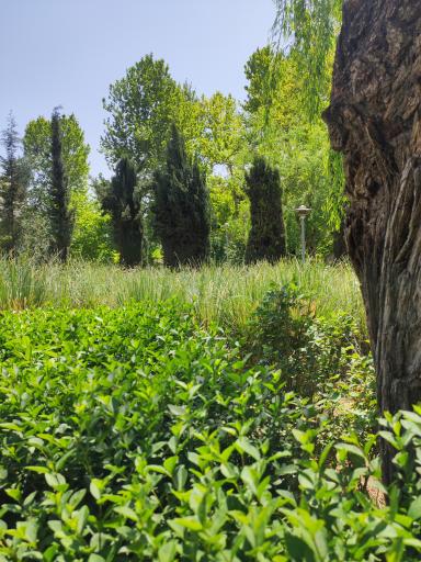 عکس بوستان سید جمال الدین اسدآبادی