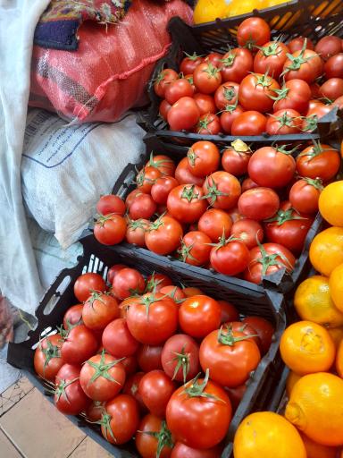 عکس هایپر میوه فجر