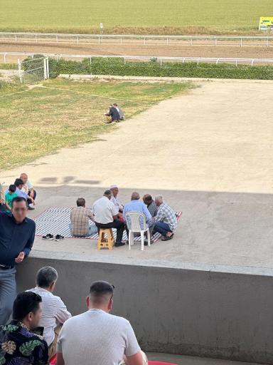 مجموعه بزرگ اسبدوانی گنبد کاووس