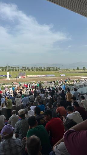 عکس مجموعه بزرگ اسبدوانی گنبد کاووس