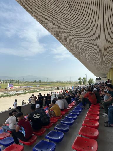 عکس مجموعه بزرگ اسبدوانی گنبد کاووس