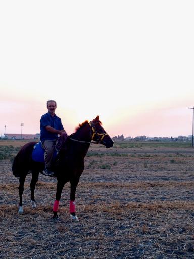 عکس مجموعه بزرگ اسبدوانی گنبد کاووس