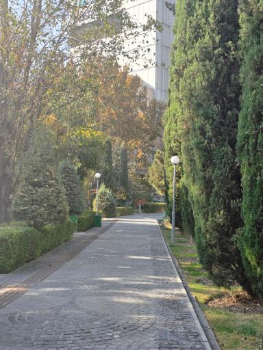 عکس بوستان سید جمال الدین اسدآبادی