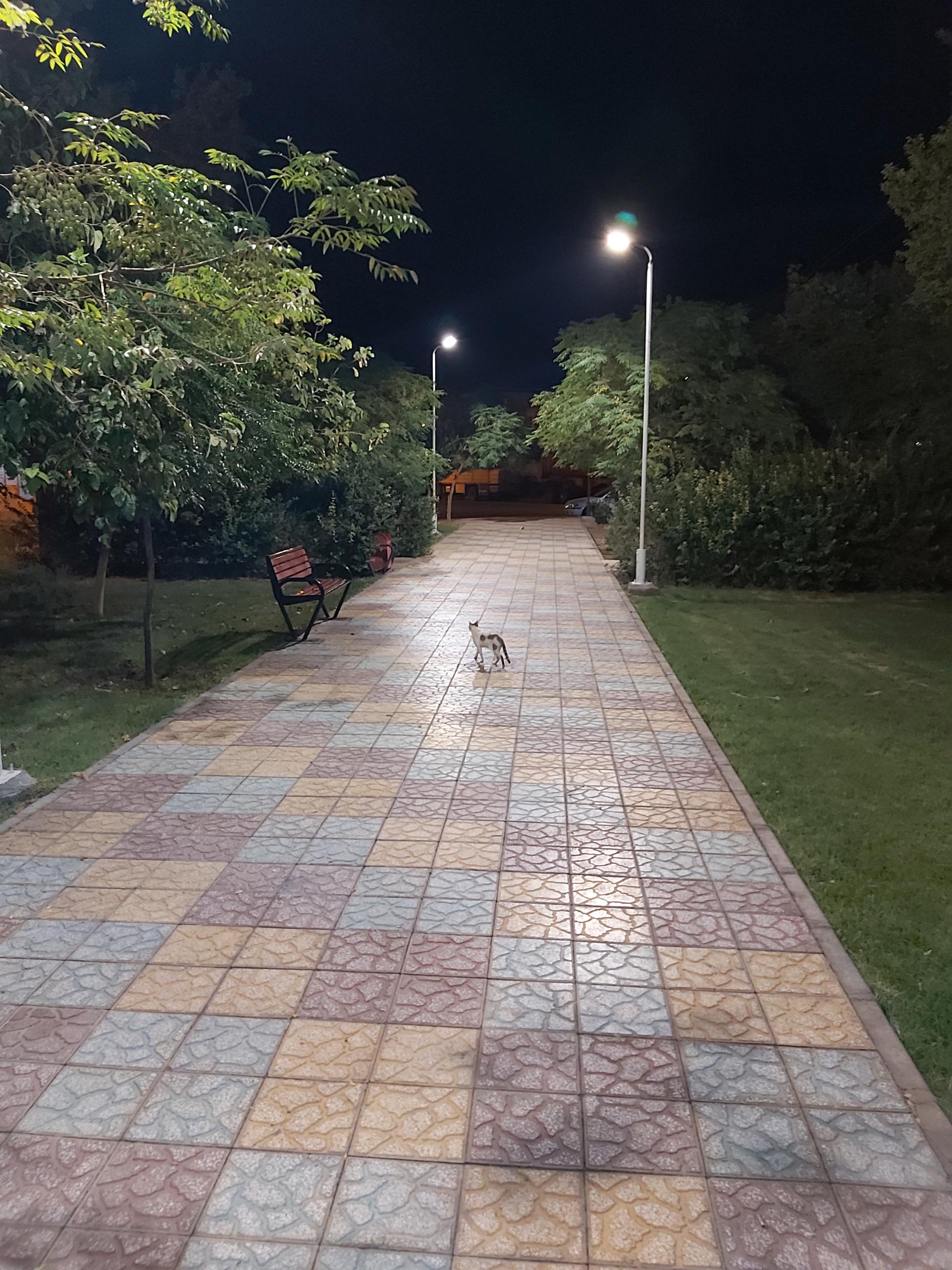 عکس بوستان شهید پرهیزگار