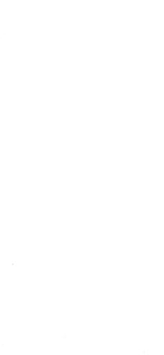 عکس سمساری طهران (امینی)