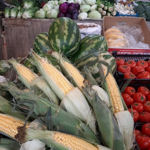 عکس میوه سبزی آلما هیوا