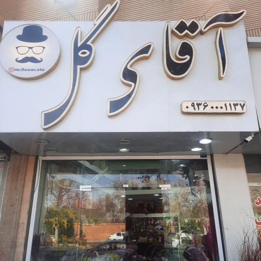 عکس آقای گل شیراز