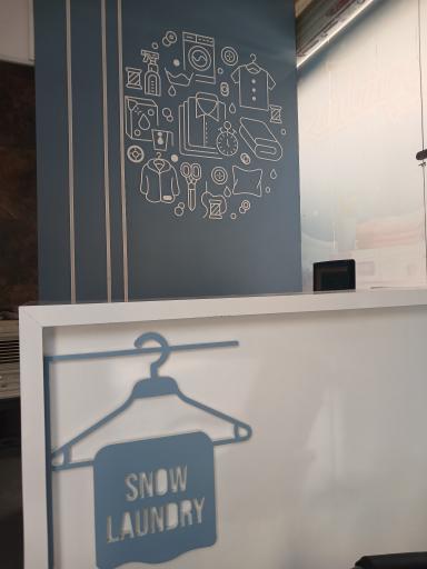 عکس خشکشویی برف